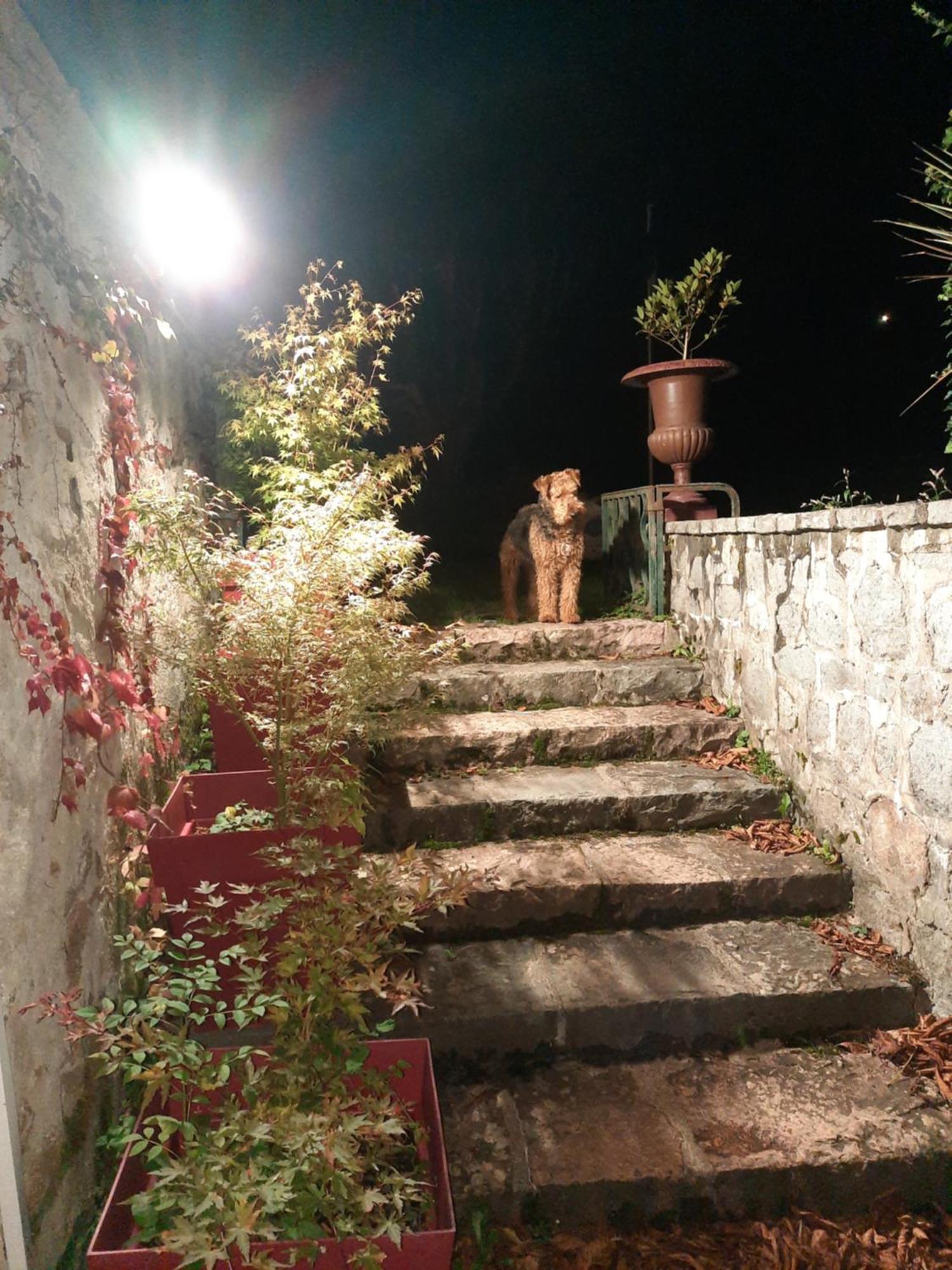 Le Clos Des Soyeux Saint-Victor-sur-Rhins Exterior foto
